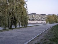 an asphalt pathway beside some trees by the river with buildings behind it in the distance