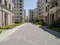 one long and narrow driveway in the middle of an empty city street with many buildings in the background