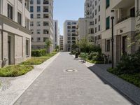 one long and narrow driveway in the middle of an empty city street with many buildings in the background