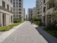 one long and narrow driveway in the middle of an empty city street with many buildings in the background