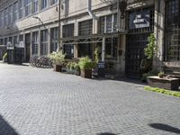 an old, open brick - lined street in front of building with several empty benches