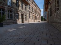 an empty bricked sidewalk between two tall buildings with trees on the side of them