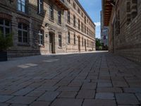 an empty bricked sidewalk between two tall buildings with trees on the side of them