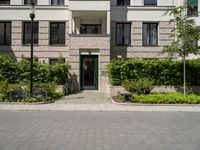 the bicycles are parked outside on the driveway with trees and plants near them, and two trees planted along the side