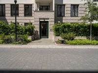 the bicycles are parked outside on the driveway with trees and plants near them, and two trees planted along the side