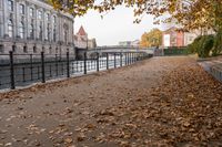 an alley lined with leaves leading to buildings and bridge over water next to it in the autumn