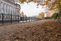 an alley lined with leaves leading to buildings and bridge over water next to it in the autumn