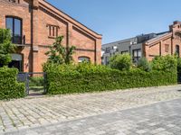 the paved road is lined with hedges and stone tiles on it, leading to a row of townhouses