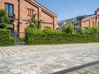 the paved road is lined with hedges and stone tiles on it, leading to a row of townhouses