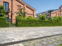 the paved road is lined with hedges and stone tiles on it, leading to a row of townhouses