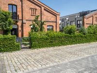 the paved road is lined with hedges and stone tiles on it, leading to a row of townhouses