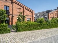 the paved road is lined with hedges and stone tiles on it, leading to a row of townhouses