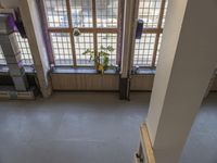 looking down on a room from above with a plant and windows in the background of view