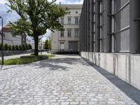 a road with cement blocks, a tree and tall windows near a street sign for an apartment