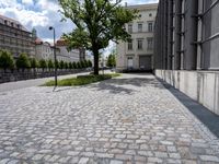 a road with cement blocks, a tree and tall windows near a street sign for an apartment