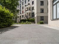 a brick road between two buildings and bushes in front of it and a blue sky with some clouds