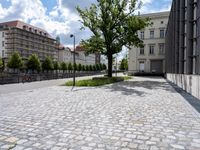 there is an empty cobblestone road in the city area of town center on a sunny day