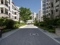 a quiet street lined with green trees in a city setting near apartment buildings and greenery