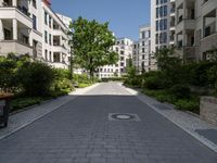 a quiet street lined with green trees in a city setting near apartment buildings and greenery