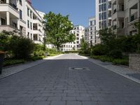 a quiet street lined with green trees in a city setting near apartment buildings and greenery