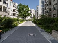 a quiet street lined with green trees in a city setting near apartment buildings and greenery