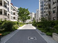 a quiet street lined with green trees in a city setting near apartment buildings and greenery