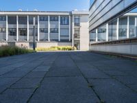 a walkway in front of a building with lots of windows and plants on the side