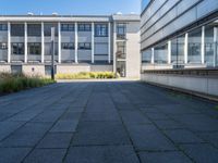 a walkway in front of a building with lots of windows and plants on the side