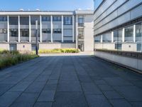 a walkway in front of a building with lots of windows and plants on the side