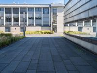 a walkway in front of a building with lots of windows and plants on the side