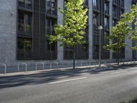 a building along a street lined with a fence in the center of it and a small tree lining the sidewalk