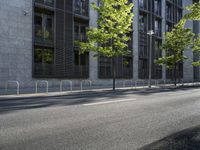 a building along a street lined with a fence in the center of it and a small tree lining the sidewalk