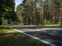 Berlin Asphalt Road Through Forest Landscape