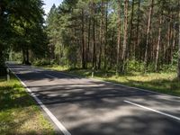 Berlin Asphalt Road Forest Landscape 002