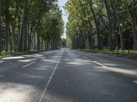 Berlin Autobahn: Highway Under a Clear Sky