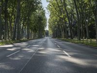 Berlin Autobahn: Highway Under a Clear Sky