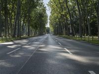 Berlin Autobahn: Highway Under a Clear Sky