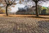 a sidewalk lined with small leaves next to a building and tree line on one side