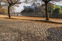 a sidewalk lined with small leaves next to a building and tree line on one side