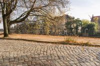 a sidewalk lined with small leaves next to a building and tree line on one side