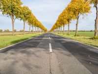 an empty road leads to two rows of trees on each side of it near a field and grassy area with trees, grass, and other