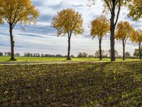 Berlin Autumn Landscape: A Gloomy Day