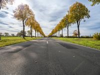 Berlin Autumn Landscape: Road and Nature