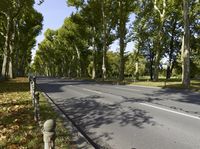 Berlin Autumn Landscape: Road Residential