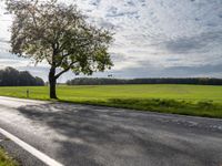 Berlin Autumn Landscape with Wind Turbine