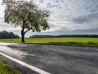 Berlin Autumn Landscape with Wind Turbine