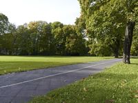 Autumn Park in Berlin: Lush Greenery and Vibrant Colors