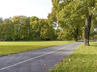 Autumn Park in Berlin: Lush Greenery and Vibrant Colors