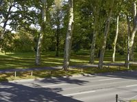 Berlin Autumn Road in Residential Area