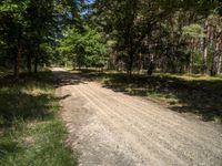 a gravel road in the woods near trees and dirt road markings are visible on the ground